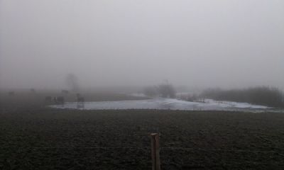 Bedelundsvej/Vendsyssel